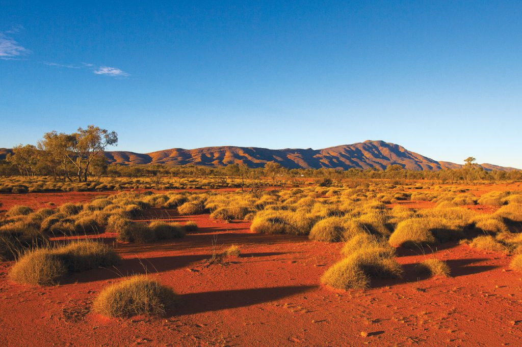 Landscape image of Ali Curing in remote Australia