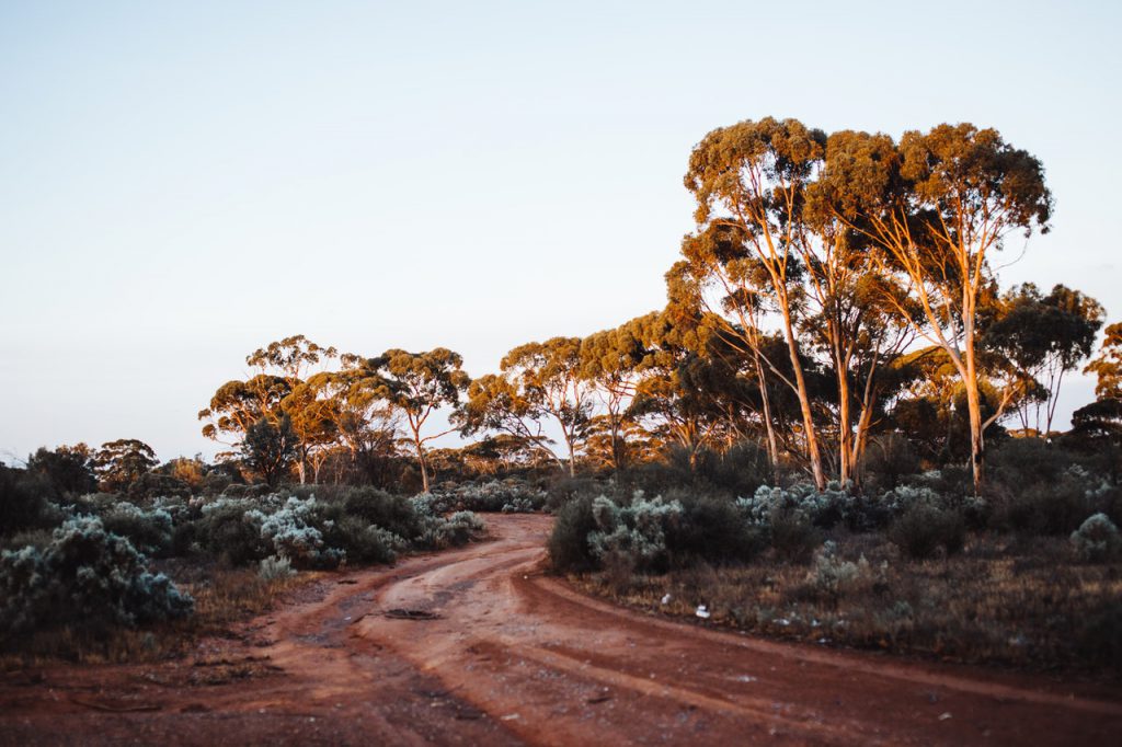 Remote Australian road